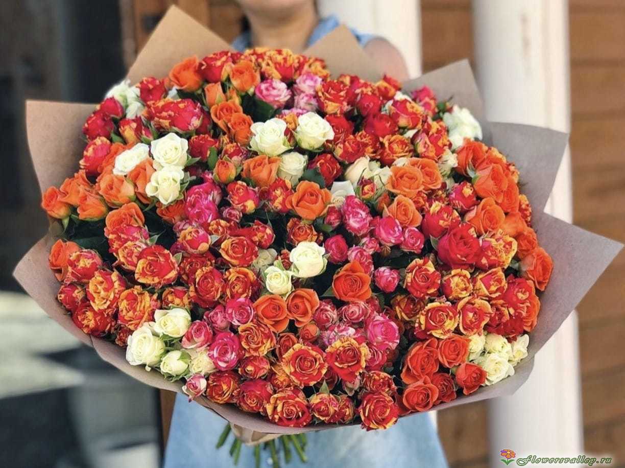 Кустовые Розы Пенза Купить