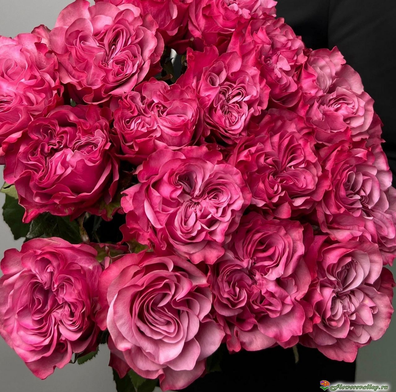 Букет из 35 роз Кантри Блюз (пр-во Эквадор, сорт 