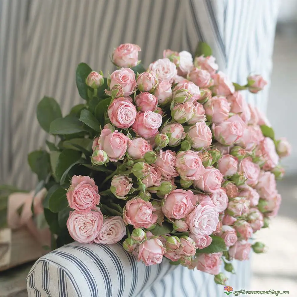 Букет "Воздушное настроение" из 25 кустовых пионовидных роз