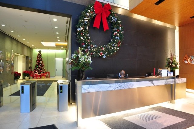 Украшаем дом нобилисом