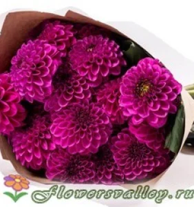 Букет из малиновых георгин