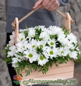 Хризантемы в деревянном ящичке