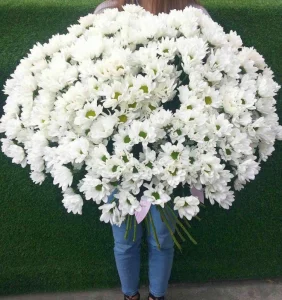 Букет белых хризантем (про-во Голландия)