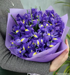 Букет 25 ирисов