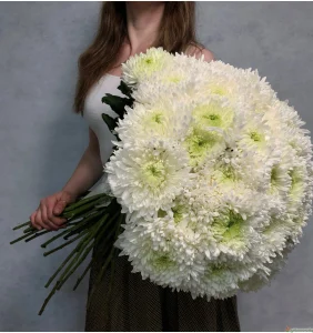 25 хризантем, 25 шт