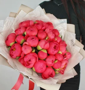 Букет из пионов Корал Шарм (Coral Charm), 25 шт