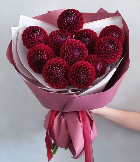 Букет из малиновых георгин, 7 шт.