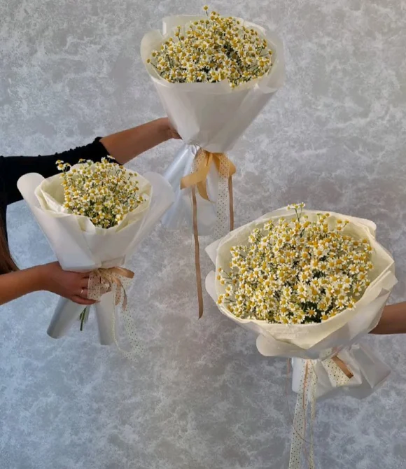 Букет из ромашек ( Tanacetum )