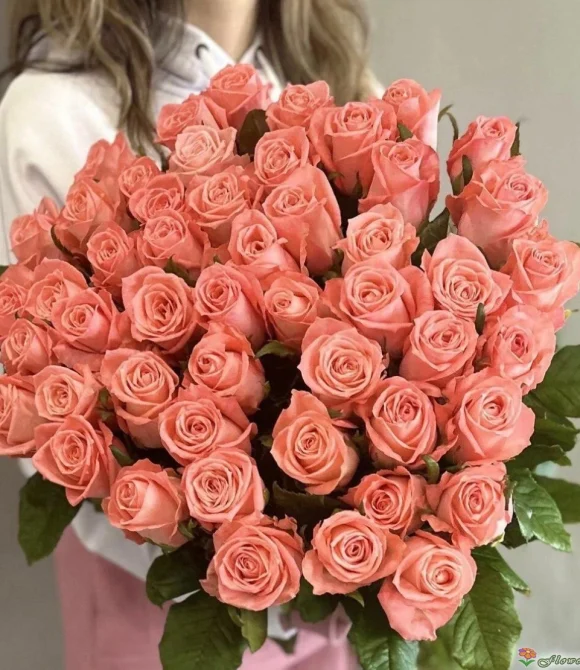 Букет из 35 роз Би Свит, (пр-во Эквадор, сорт "Be Sweet")