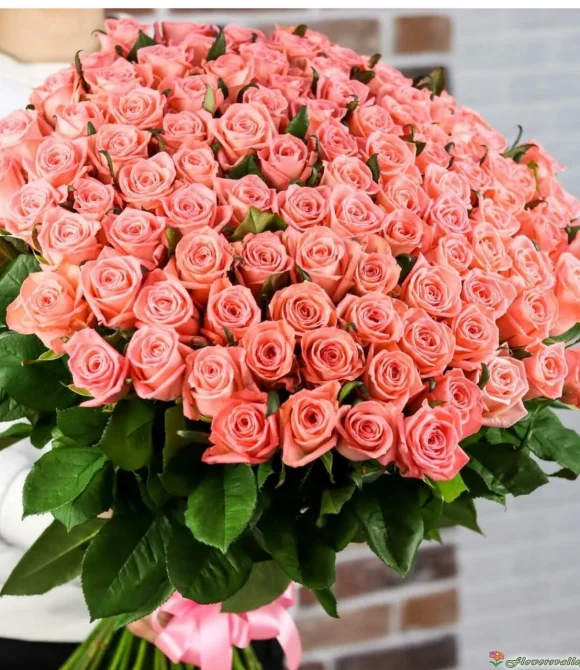 Букет из 101 розы Би Свит, (пр-во Эквадор, сорт "Be Sweet") фото 4