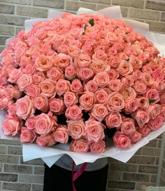 Букет из 101 розы Би Свит, (пр-во Эквадор, сорт "Be Sweet")
