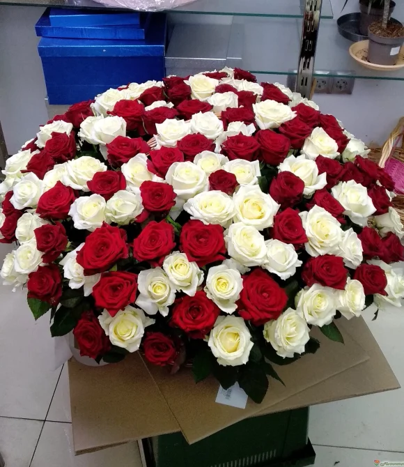Корзина из белых и красных роз 151 шт.