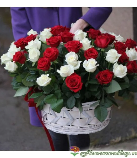75 роз красных и белых