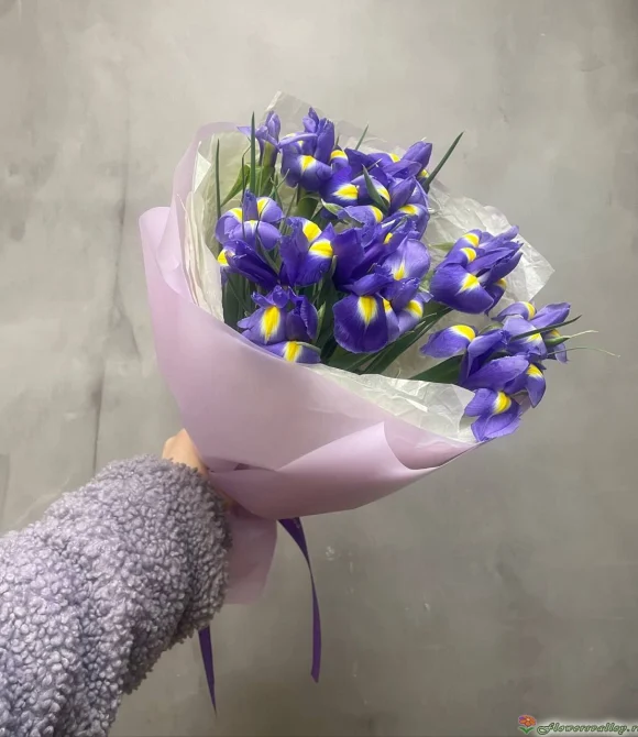 Букет из 15 ирисов