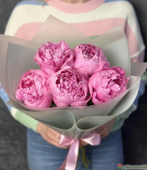 Розовые пионы 5 штук
