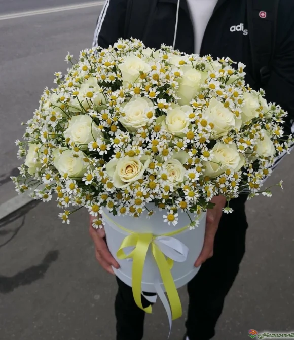 ромашка с розой