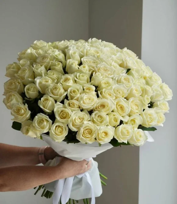 101 Роза белая Аваланш
