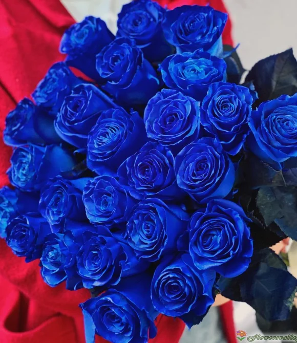 35 синих роз