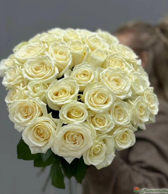 35 роз аваланш
