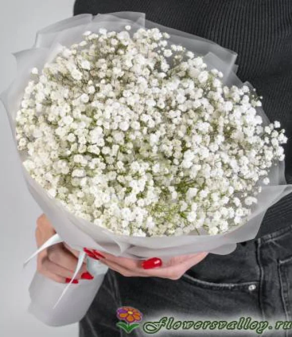 Букет из белой гипсофилы