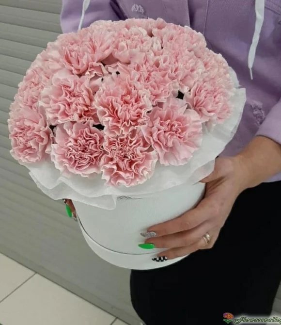 Шляпная коробка с розовой гвоздикой, 15 шт.