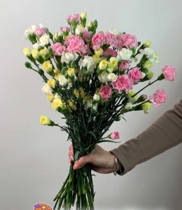 Букет разноцветных гвоздик, 15 шт