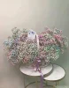 Корзинка из 15 радужных гипсофил
