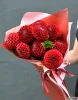 Букет из 11 красных георгин