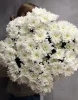 Букет из 11 хризантем  Балтика
