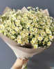 Букет из 11 ромашек ( Tanacetum ) фото 2
