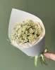 Букет из ромашек ( Tanacetum )
