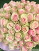 Букет из 101 розы Фрутетто ( сорт "Frutteto", пр-во Эквадор)