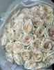 	Букет из 25 роз Вайт Охара ( сорт White O'Hara, пр-во Эквадор)
