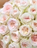 	Букет из 51 розы Вайт Охара ( сорт White O'Hara, пр-во Эквадор) Фото 6