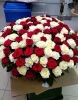Корзина из белых и красных роз 151 шт.