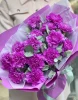 Букет гвоздик сорта Фарида (Carnation Farida) с эвкалиптом Цинерия
