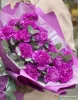 Букет гвоздик сорта Фарида (Carnation Farida) с эвкалиптом Цинерия