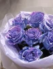 Букет роз пр-ва Эквадор Чарминг Стар, 7 шт (Charming star)