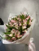альстромерия