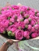 Кустовая пионовидная роза Мисти Баблс  (Misty Bubbles)