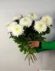 Хризантема магнум