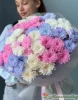 хризантема крашенная