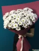 Букет из 11 белых хризантем