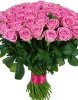 Букет из 51 розовой розы (пр-во Россия)