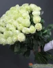 Букет из 51 белой розы (пр-во Эквадор, сорт "Мондиаль")