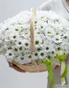 15 хризантем