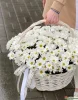 25 хризантем