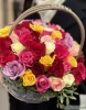 51 разноцветная роза