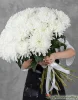 хризантема магнум 25 штук