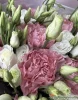 букет из диантусов и эустомы